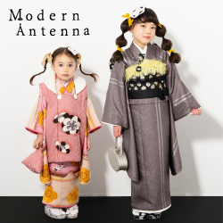 2022 Modern Antenna
